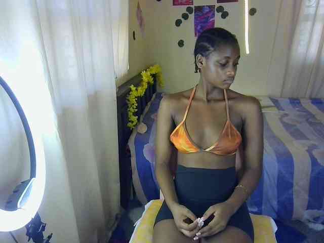 Ambrosiana webcam