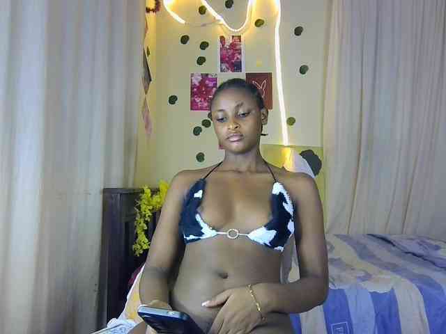 Ambrosiana webcam