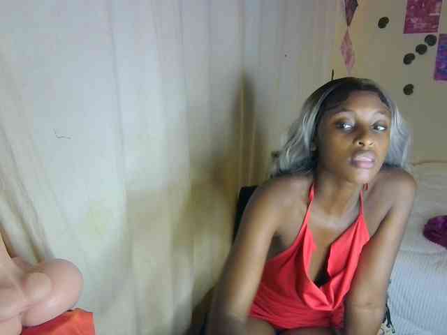 Ambrosiana webcam