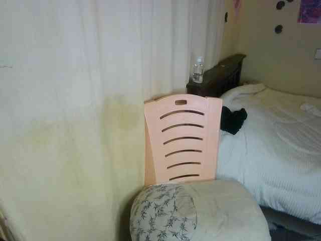Ambrosiana webcam