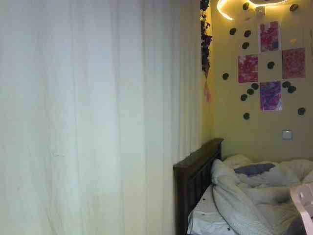 Ambrosiana webcam