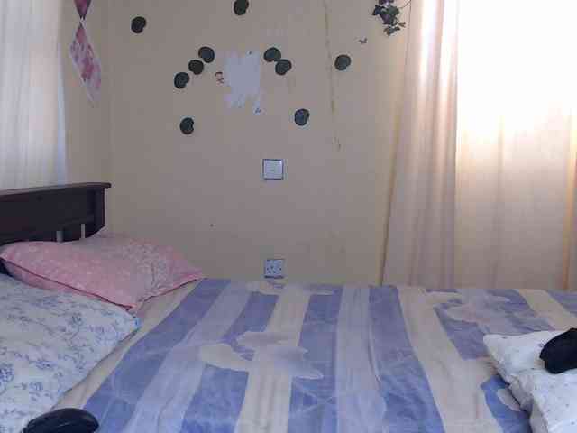 Ambrosiana webcam