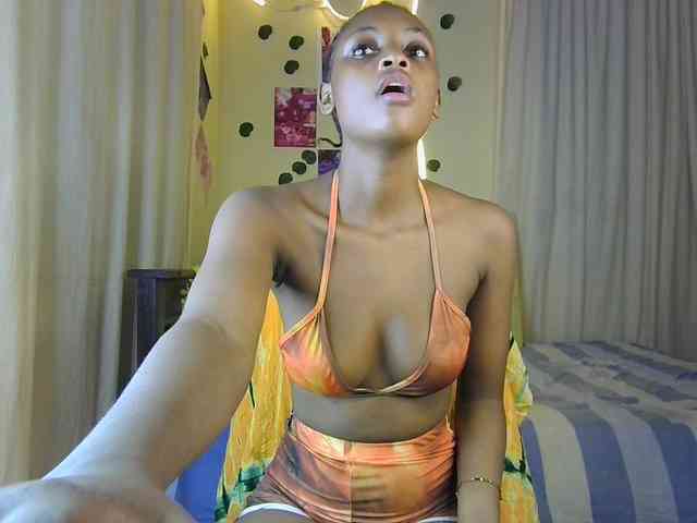 Ambrosiana webcam