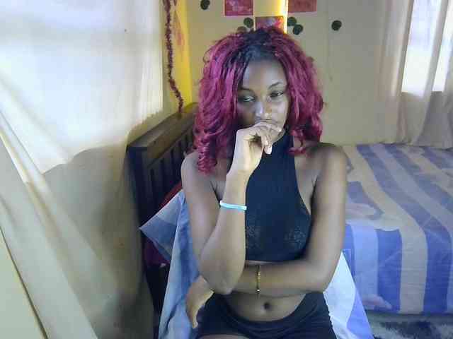 Ambrosiana webcam