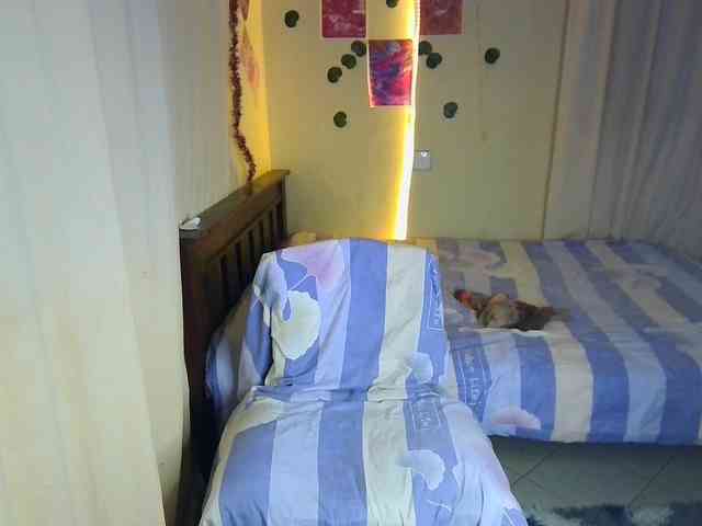 Ambrosiana webcam