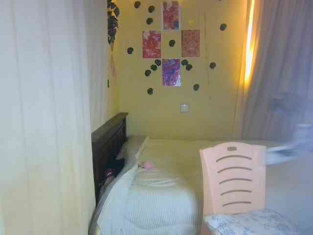 Ambrosiana webcam