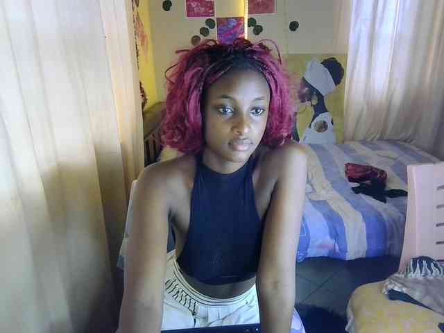 Ambrosiana webcam