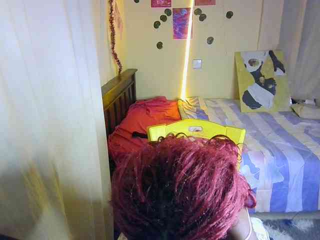 Ambrosiana webcam