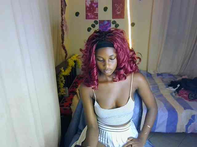 Ambrosiana webcam