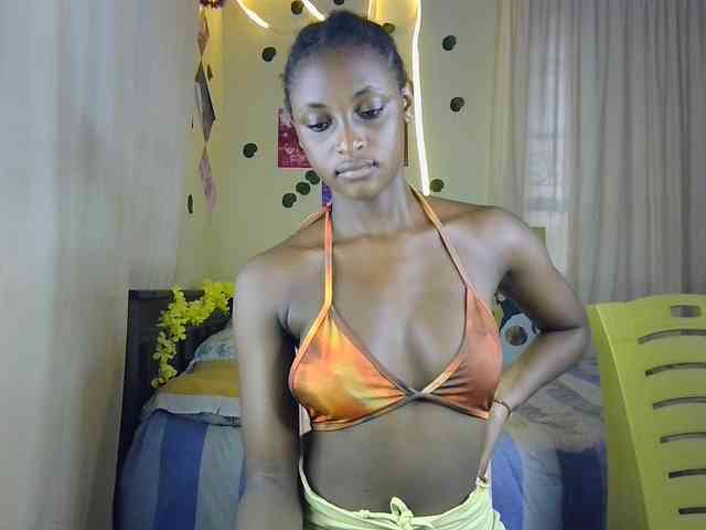 Ambrosiana webcam