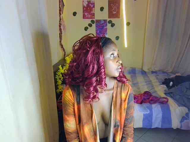 Ambrosiana webcam