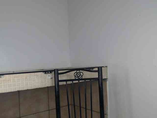 Ambrosiana webcam