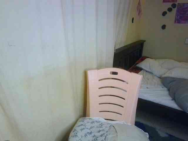 Ambrosiana webcam