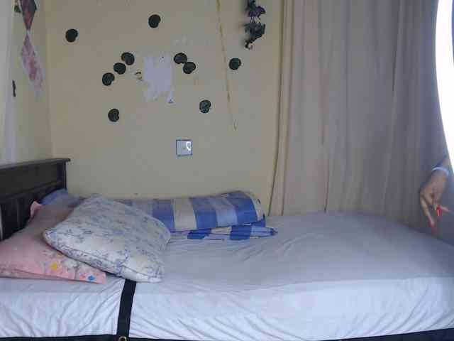 Ambrosiana webcam