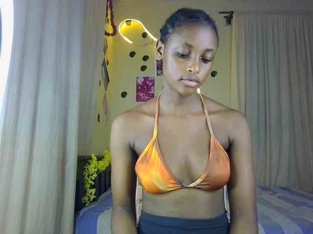 Ambrosiana webcam
