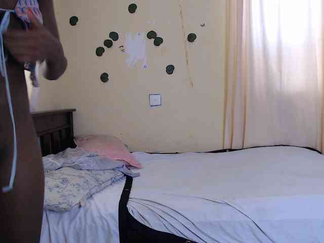 Ambrosiana webcam