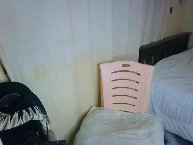 Ambrosiana webcam