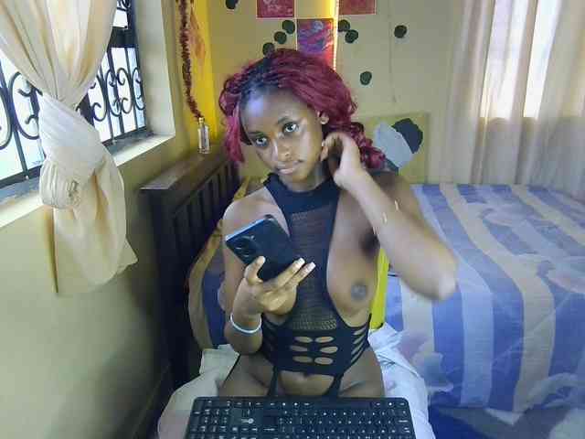 Ambrosiana webcam