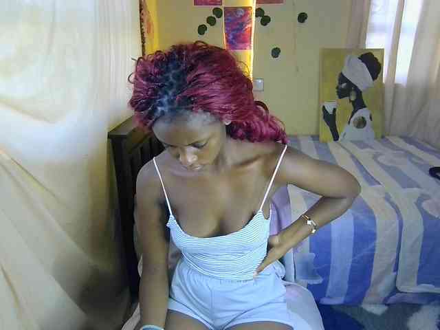 Ambrosiana webcam