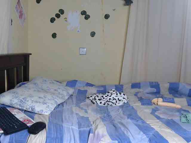 Ambrosiana webcam