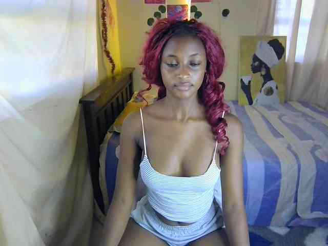 Ambrosiana webcam