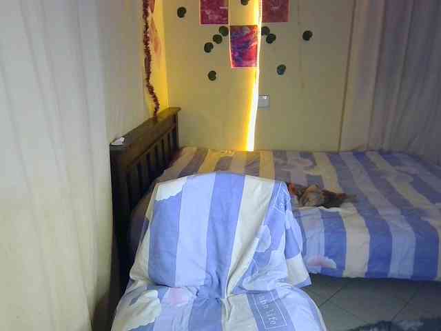 Ambrosiana webcam