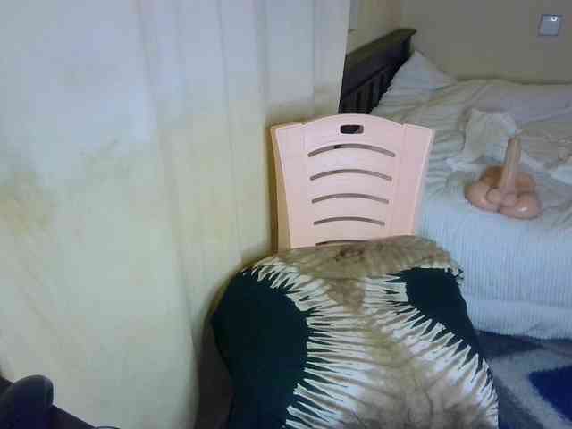 Ambrosiana webcam