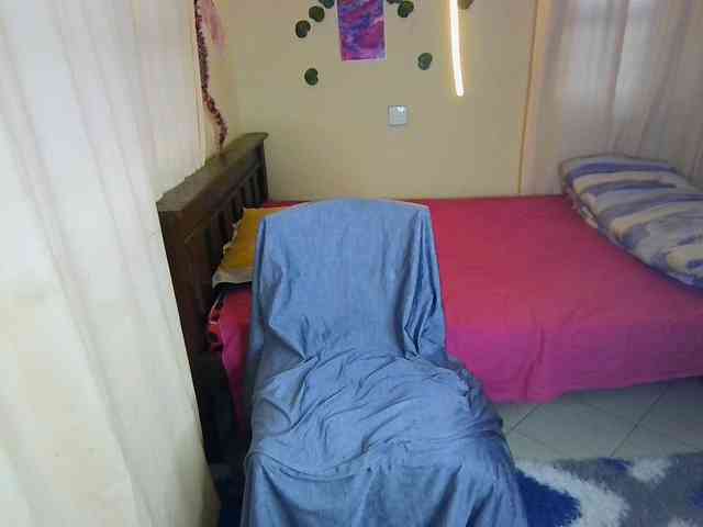 Ambrosiana webcam