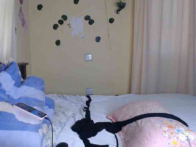 Ambrosiana webcam