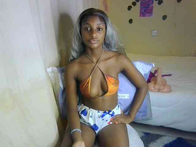 Ambrosiana webcam