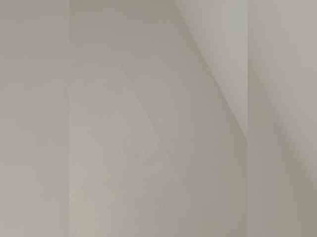 Ambrosiana webcam