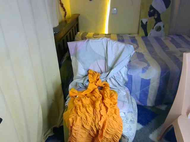 Ambrosiana webcam