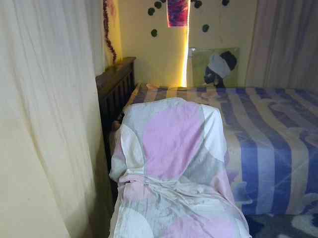Ambrosiana webcam
