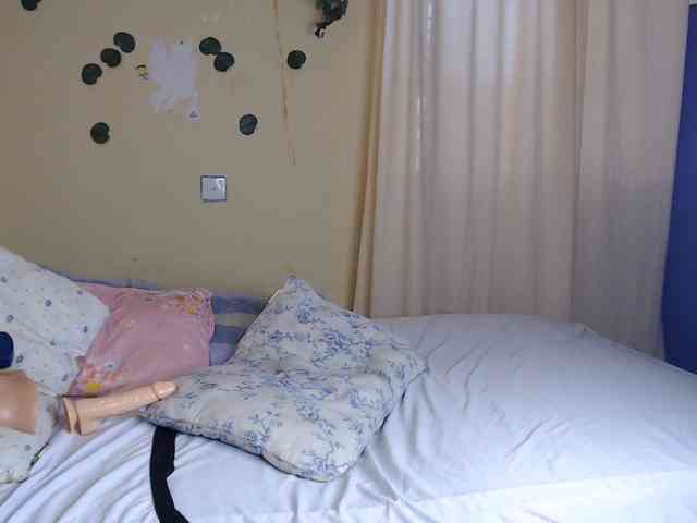 Ambrosiana webcam