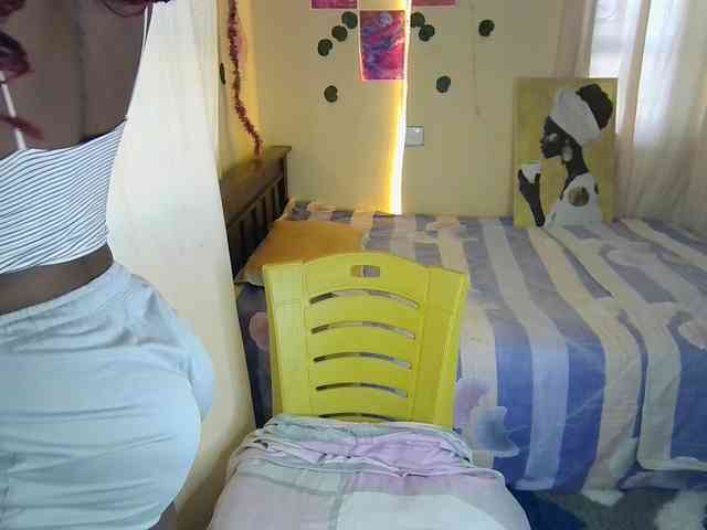 Ambrosiana webcam