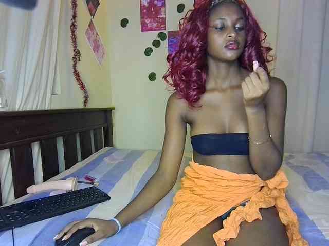 Ambrosiana webcam