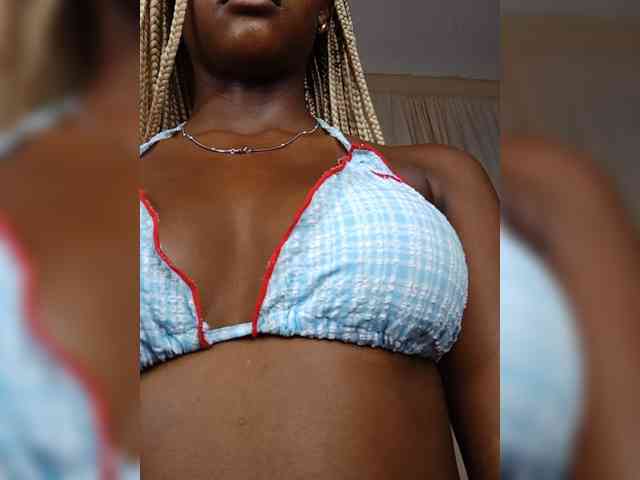 Ambrosiana webcam