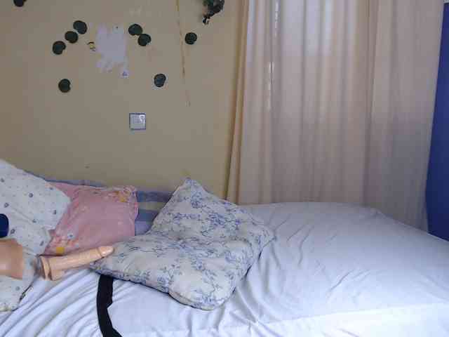Ambrosiana webcam