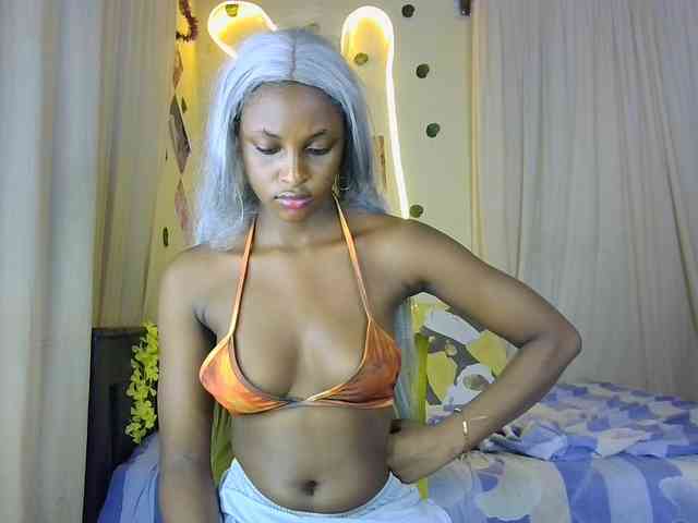 Ambrosiana webcam