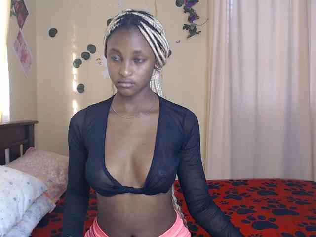 Ambrosiana webcam