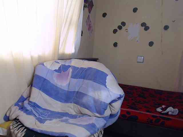 Ambrosiana webcam