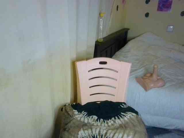 Ambrosiana webcam
