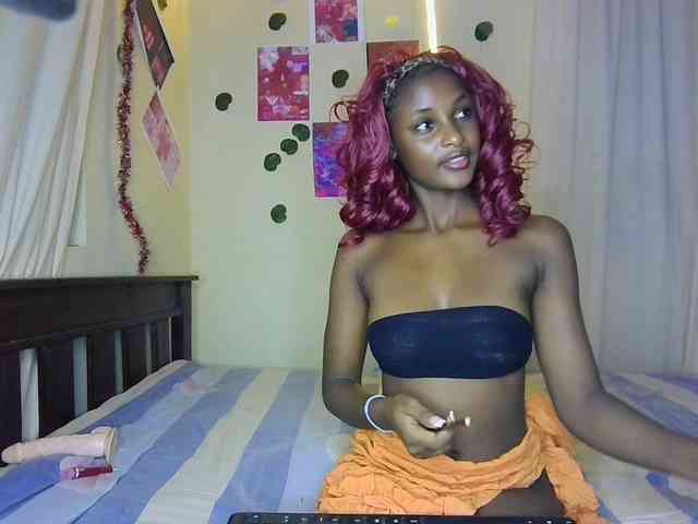 Ambrosiana webcam