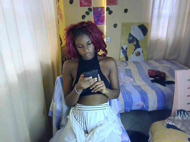 Ambrosiana webcam
