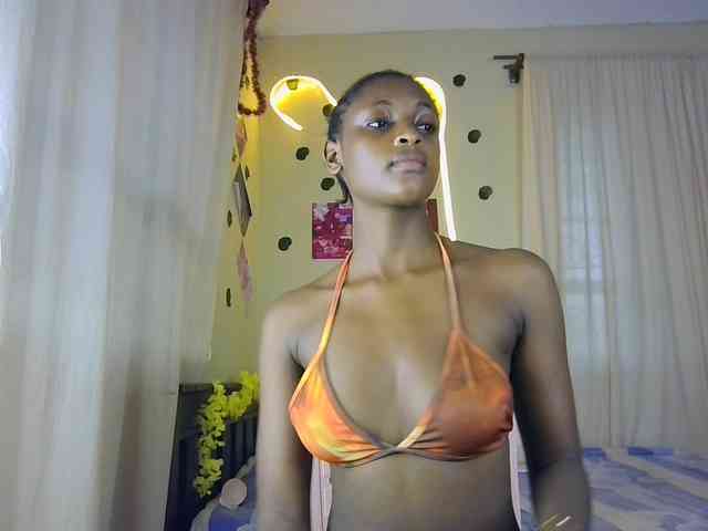 Ambrosiana webcam