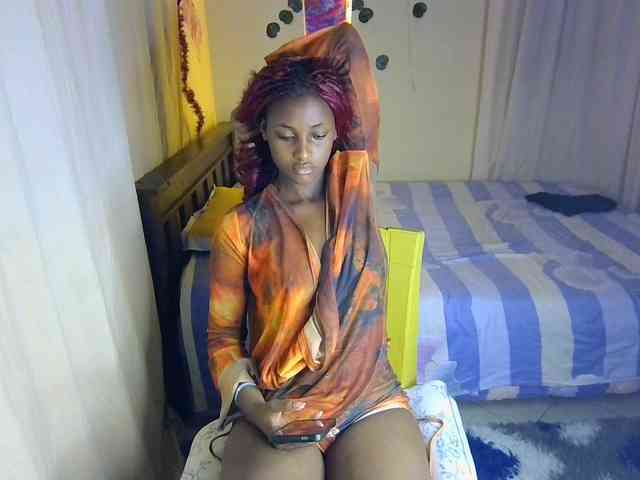 Ambrosiana webcam