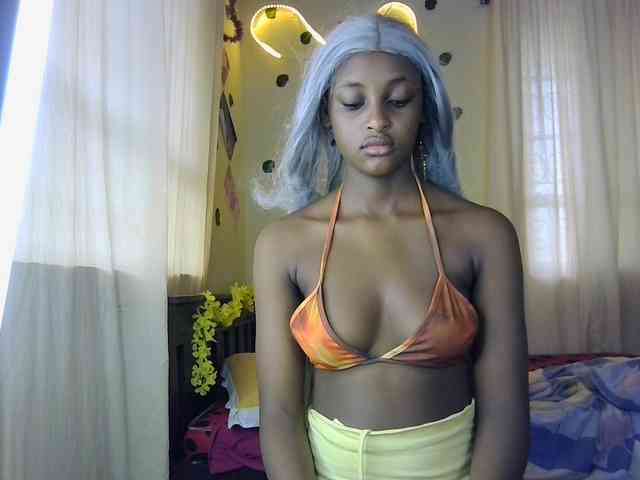 Ambrosiana webcam