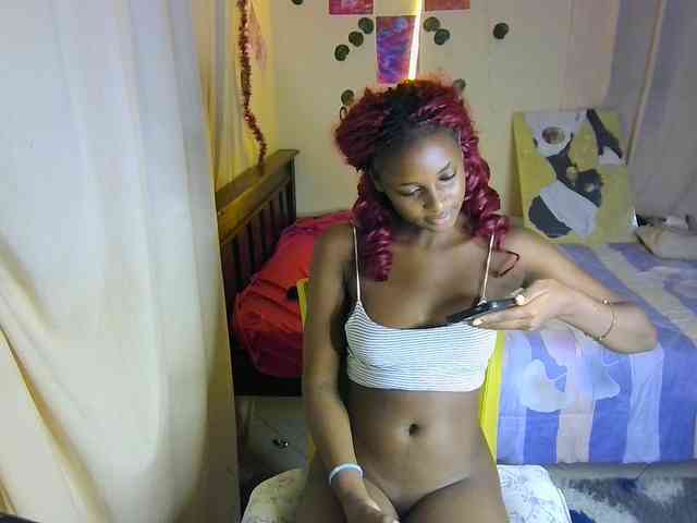 Ambrosiana webcam