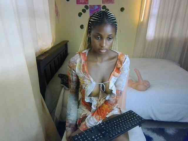Ambrosiana webcam
