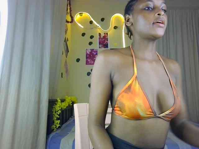 Ambrosiana webcam